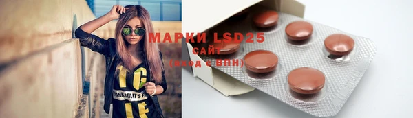spice Липки